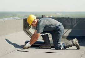 Best Roof Leak Repair  in Carver, MN